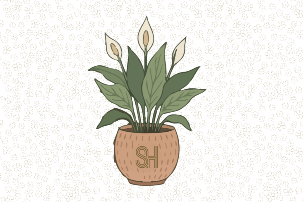 Administrative Professionals Day celebration with Peace Lily's for our Staff.