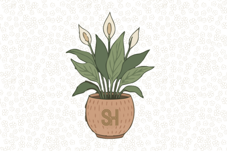 Administrative Professionals Day celebration with Peace Lily's for our Staff.